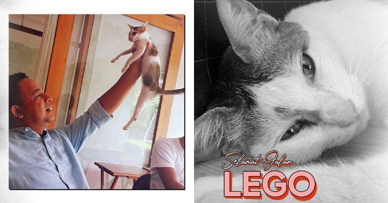 Instagram.com/pawswedan